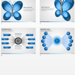 Butterfly Effect Presentation